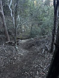 report photo