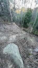 report photo