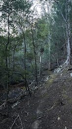 report photo