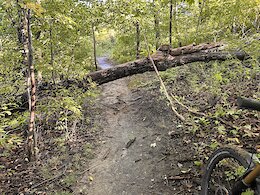 report photo