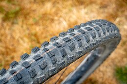 Schwalbe Romy Tire Review: Impressive Comfort Without Sacrificing Speed