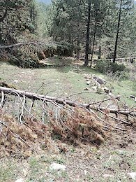 report photo