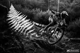 Race Highlights: 2026 Val di Sole DH World Championships