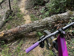 report photo