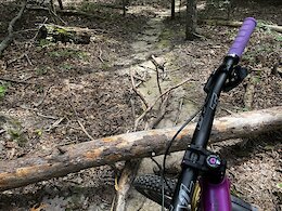 report photo