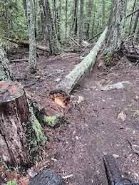 report photo