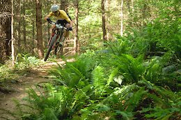 Video: Nino Schurter Checks BC Bike Race Off His Bucket List in ‘Seven Days Beyond the World Cup’
