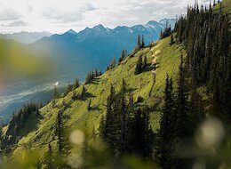 Video: A Week in Fernie with Dylan Siggers in 'Cat