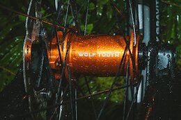 Wolf Tooth Announces Road, Gravel, and Mountain Bi