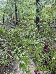 report photo