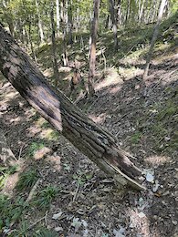 report photo