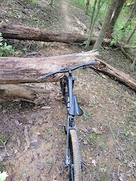report photo