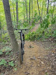 report photo