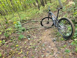 report photo