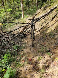 report photo