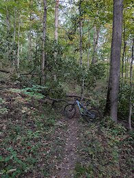 report photo