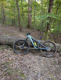 report photo
