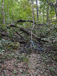 report photo