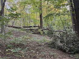 report photo