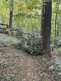 report photo