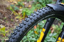 Review: Schwalbe’s Redesigned Tacky Chan Pro Radial Tire