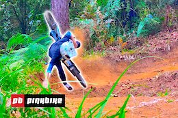 Video: Friday Fails #427