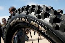 Sea Otter - Schwalbe Tires