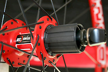 Sea Otter - DT Swiss