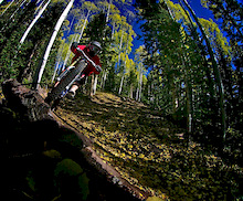 Self Portrait on Pancoaster Trail - first real dh ride since my hand has (sort of) healed.  Telluride will be having a 12hr downhill race this weekend - The Shuttermonkeys Team will be rocking it for sure :) ha.