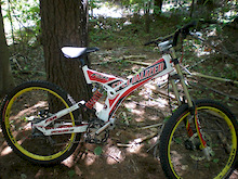 specialized downhill team