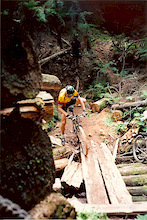 trying to ride a log bridge - wasn't quite as good at it back in 1994...