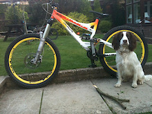 new sx trail 2, totem dual solo's , fsa sealed, funn saddle.  soo happy :D    ohh and bobby my dog