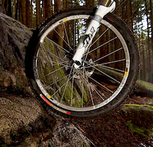 Specialized Clutch SX Tires - Review