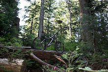 2011 Norco Range 1: A week on the trails
