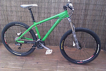 santa cruz chameleon green