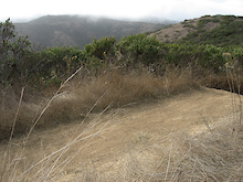 Picture of trail.