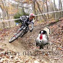 Happy Thanksgiving everyone.   

Your friend Photomom
(and the Nema Turkey)