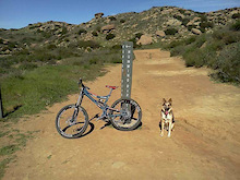 dog sitting next to a bike leaning against a trail marker