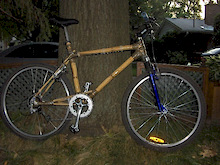 First bamboo bike - bamboo, hemp twine, and resin, plus lots of hours.