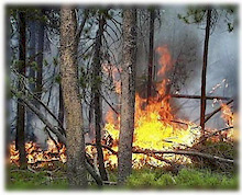 Extreme Fire Hazard Forces Closure