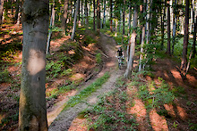 Chilling in absolutely amazing forest near Dębica.

Photos made by my friend - photographer.