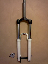 rockshox domain 302