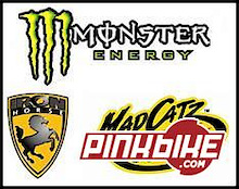 2006 Monster Energy/Iron Horse/Mad Catz Team