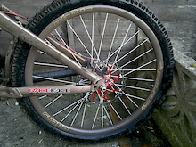 2.5 super tacky maxxis high roller, spank subrosa rim laced with white atomlab spokes to 150mm hope pro 2 hub, colour matched red 8" aligator disc.
