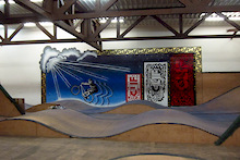 AllRide Paints Rays MTB