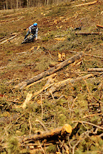 The Clearcut