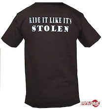 New Shirts and DVDs in store this month