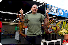 Kevin Trejo with fresh Lobster for dinner!