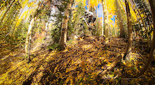 Testing out Gold Rush, a new line at the Telluride bike park, check out the fall foliage...
