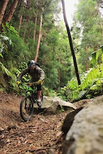 freeriding in the Azores islands

http://sacredrides.com/rides/azores/paradise-island